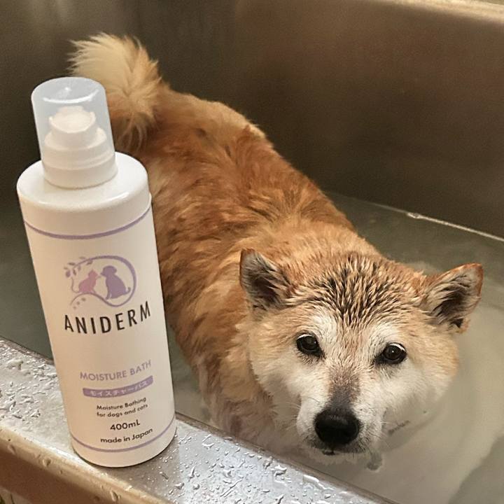 D0a94264 6387 4255 a220 a29c14683868 1746168586304