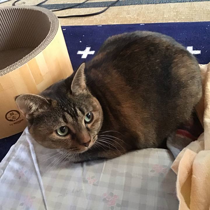 D0a9655b 823c 4d79 8a28 c0e050def63f 1735514544033