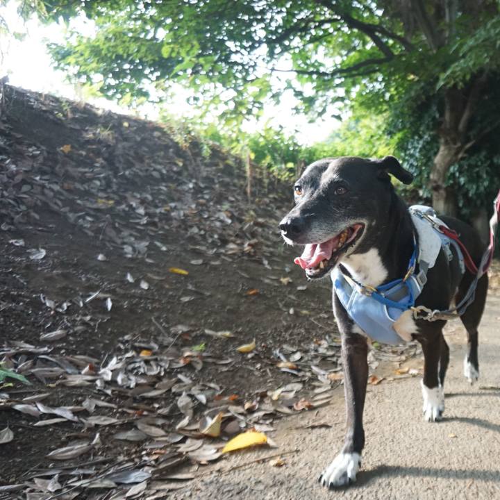 D0a96e97 8084 4fd8 8e13 927504ce2a06 1755733205049