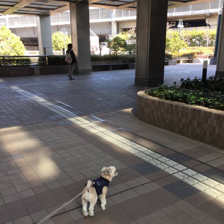 D0a97160 b120 42e2 a1c7 e7ddb2a0063a 1552114230580