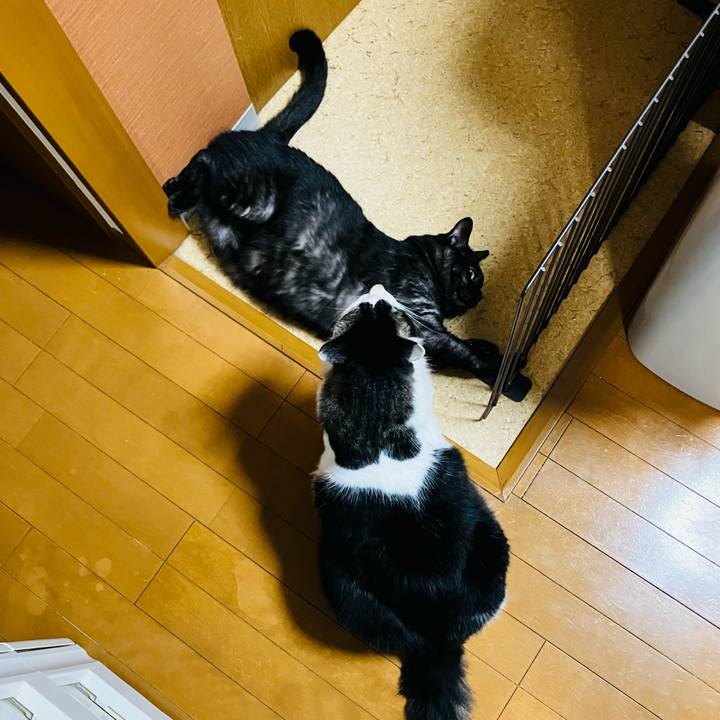 D0a999a1 aab3 4111 8b15 4849ac3c0120 1754616987780