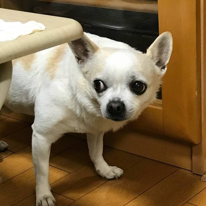 D0a9d625 a1be 4e83 9eda 805214941873 1516662403813