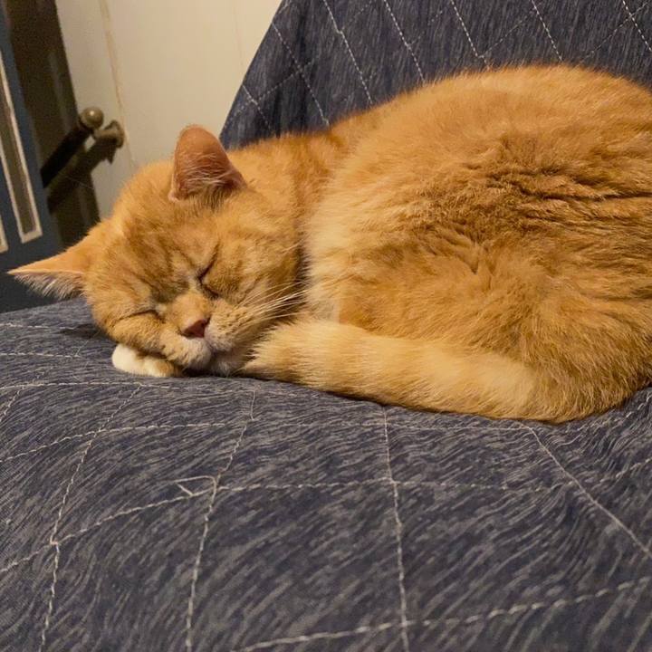 D0aa1bf9 84bd 4426 be53 99a1a0bd42c9 1643076349943