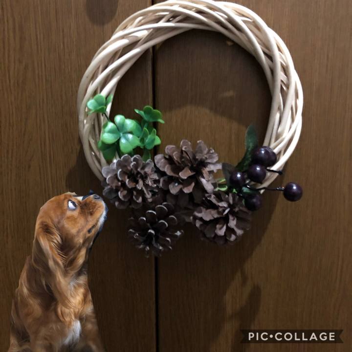 D0aa4cd0 3468 4060 83cb 990d1ceeea65 1573473993109