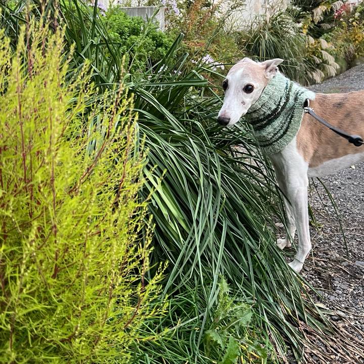 D0aa5055 b5bd 4af9 b992 b856f23af69a 1760861728661