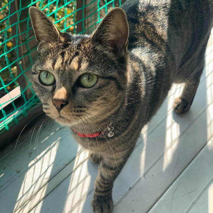 D0aa6031 1eea 4d9f bfc7 2323f9a74f88 1578144936569