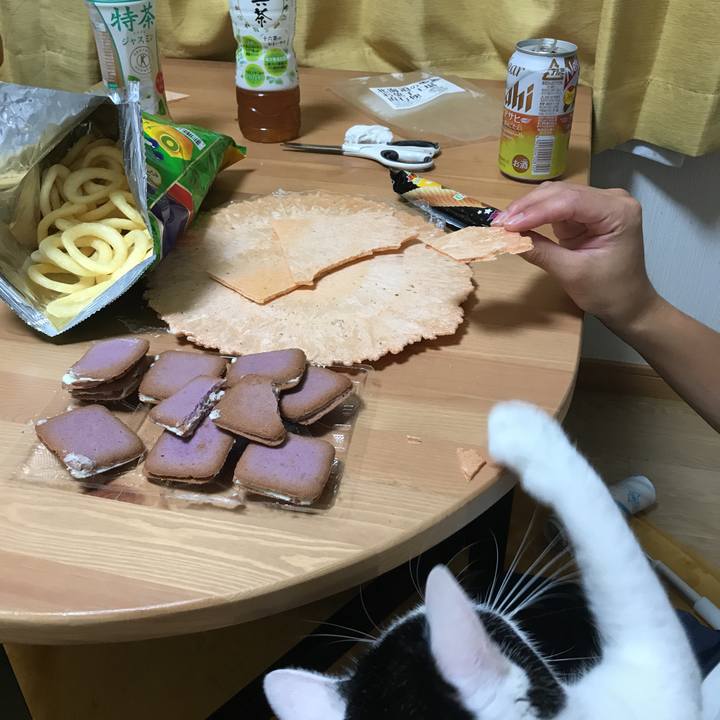 D0aaaa0b bdfe 4f92 a989 a07176ce4751 1537017868107