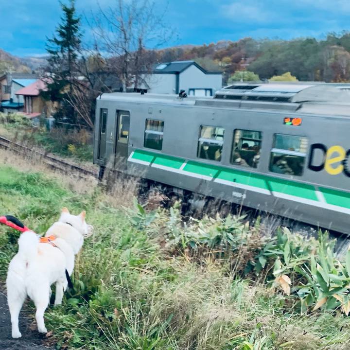 D0aaaef2 4815 4f1c 88ab 23b57ad3846c 1668292870849