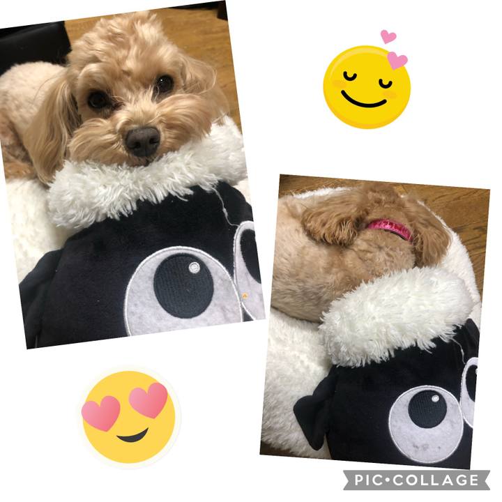 D0aabf2b 4a13 4909 84de d23f1175f6cb 1643201392055