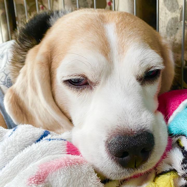 D0aad812 8037 4a5a 9914 f725aeb8f9d3 1590469357285