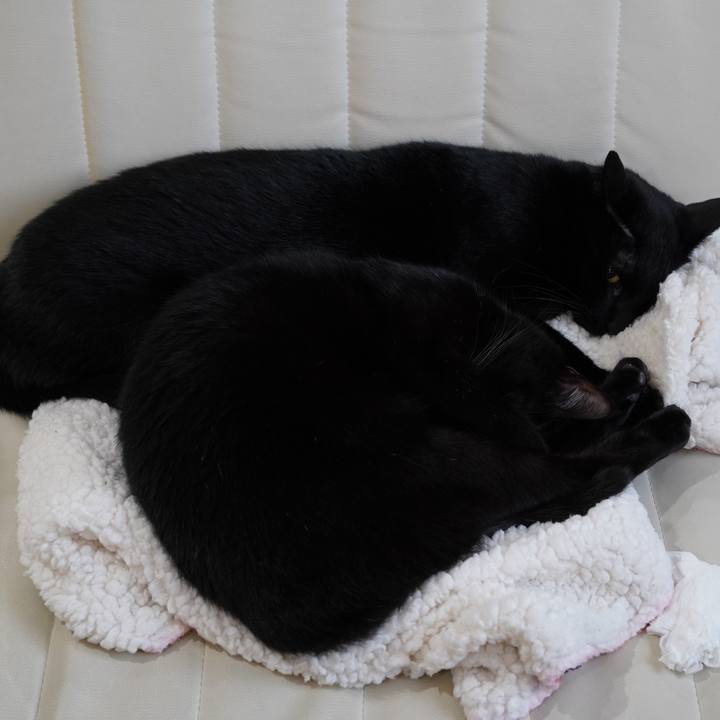 D0aaf9fe a57d 485e a15c 308891672099 1574066376697