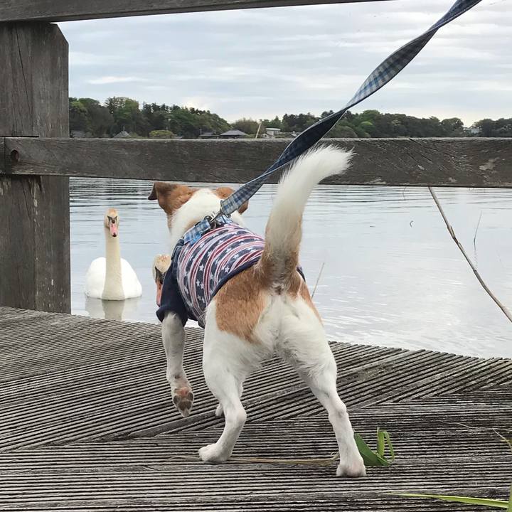 D0ab0764 9b24 432b 975f 4543651b6366 1556777866094