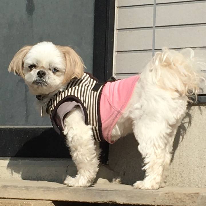 D0ab20cc 0f60 4089 b1e4 2cdcd41fc526 1582175668141