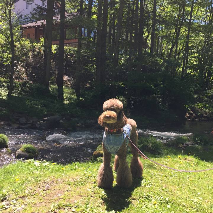 D0ab5a0b 8a6b 497f 85db 8d7fa9d9c516 1526883231800