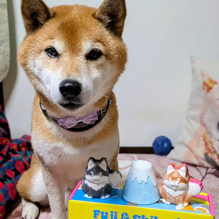 D0abcd67 6ef6 4d76 abdf 6f7bf71792d1 1767770378513