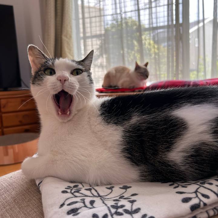 D0abd325 8cc8 4d7c a3ee ceb2b363537b 1749627968952