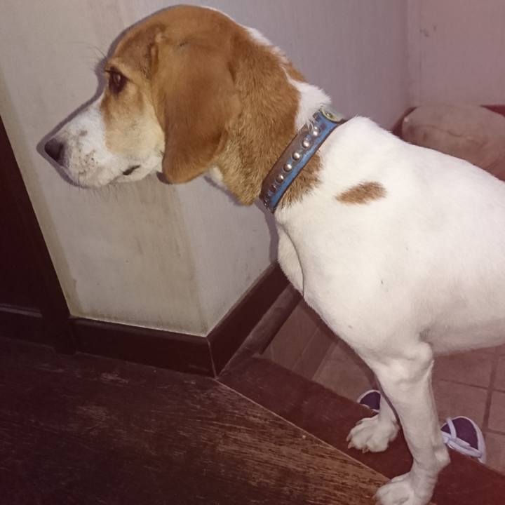 D0abe521 bb0c 42f8 a4ad f0154c16180a 1571993330636