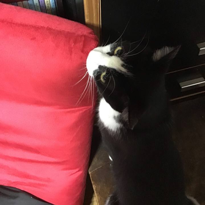 D0abf4de 1bc8 45c7 82e8 c39687639c70 1692881384161