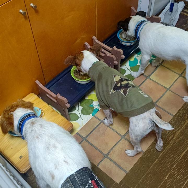 D0ac4390 c8c6 4bb1 85d0 b6f3050ada0f 1719999256105