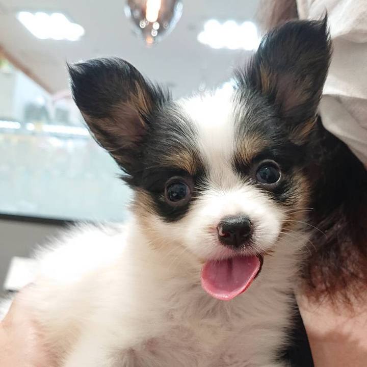 D0ac4b22 d45a 4bdf ac01 66b302149fff 1593874073638