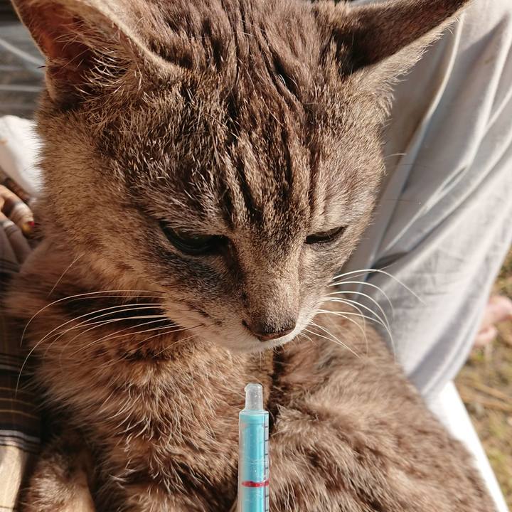 D0ac6de1 ffb6 42cb 947e 9c1ba2426c79 1591133802277