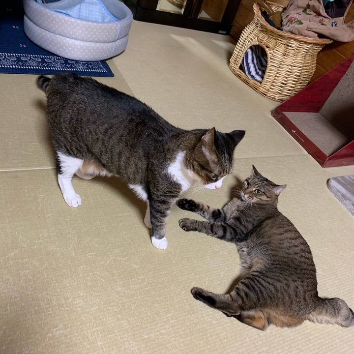 D0ac8e47 01cc 4e90 83e1 9fda1d51bc41 1568295705196