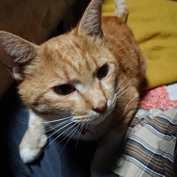 D0acc324 58a5 4eaa be27 c339bc1954cc 1570914105137