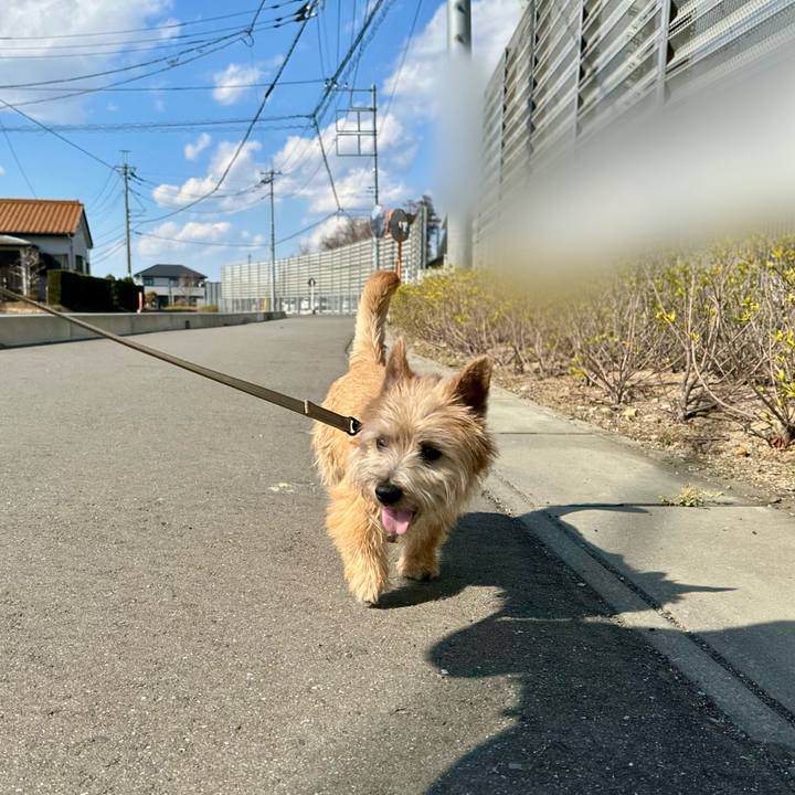 D0ace489 cbb3 4cc7 87db 3cc312209369 1709536754295