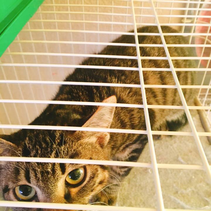 D0ad4f99 bb47 40ee 8cd4 d4eeb55f7793 1542670127579