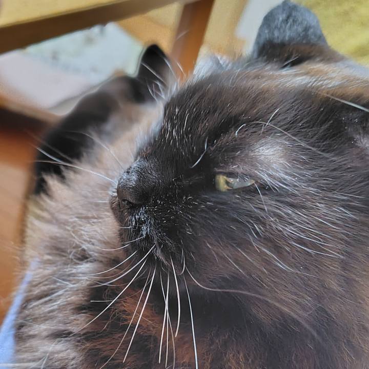 D0ad6359 c9a3 46ea 970e 29ae88a9acac 1773403406367