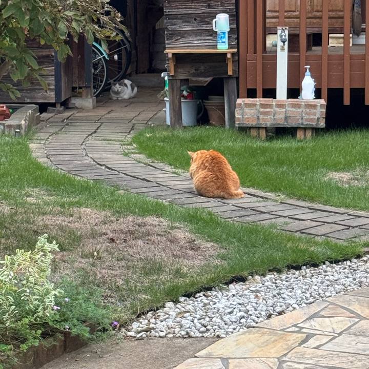 D0ad8701 9021 4b6d 90ae f5ae753dddbc 1760147665700