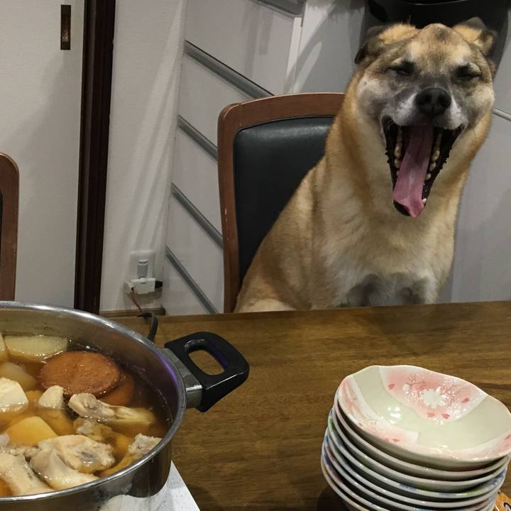 D0adb4c7 7a4a 4925 9fc0 4d05a6fbb711 1514543553300