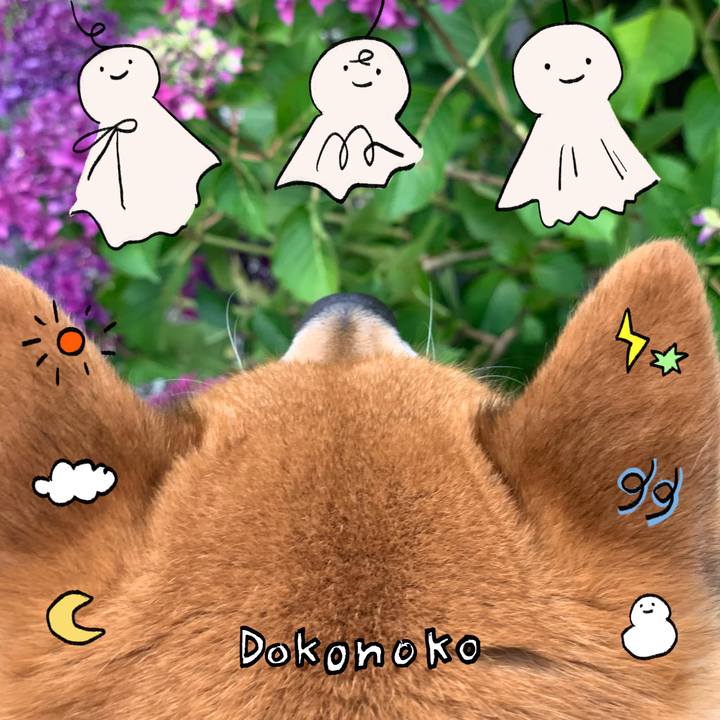D0adcd0b 635e 4a8c 8ef1 7d5a5fc85bd5 1749307114676