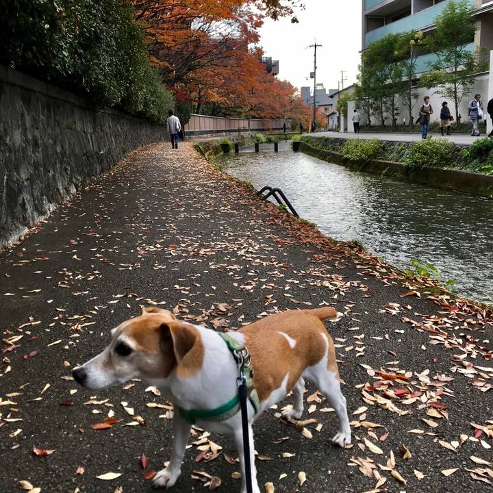 D0adda8b 51c7 4dce 8207 1cb0e621be07 1574337939722