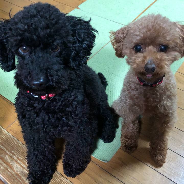 D0adff60 d90d 4b32 a658 dd40817f5f9d 1556535360860