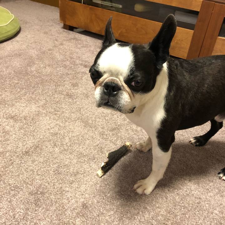 D0aeb4c7 1c08 45ac 9837 3ab0bbe9d5d1 1566209926190