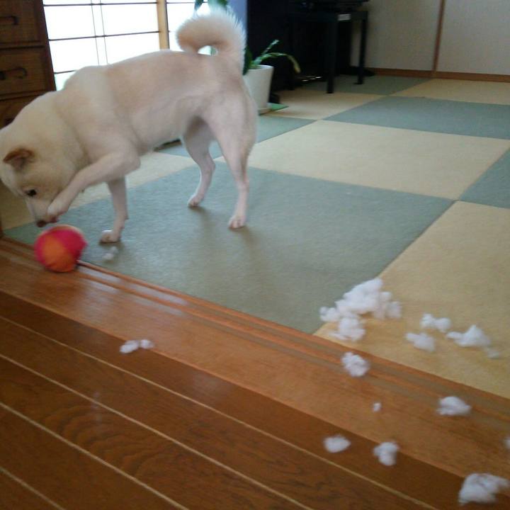 D0aed323 9ee0 4cf7 85e6 e8e9bf3b11a5 1557906857015