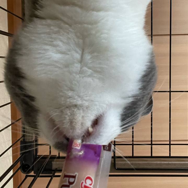 D0aef740 abd0 458c 91da b737fe7b30e1 1661928673350