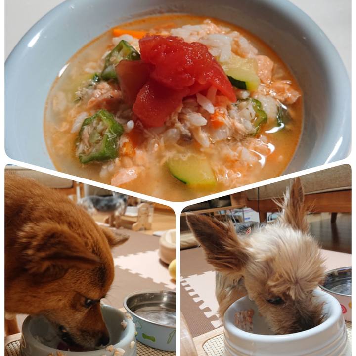 D0af270f c4ea 4c12 a390 3cced3050b41 1563388996260