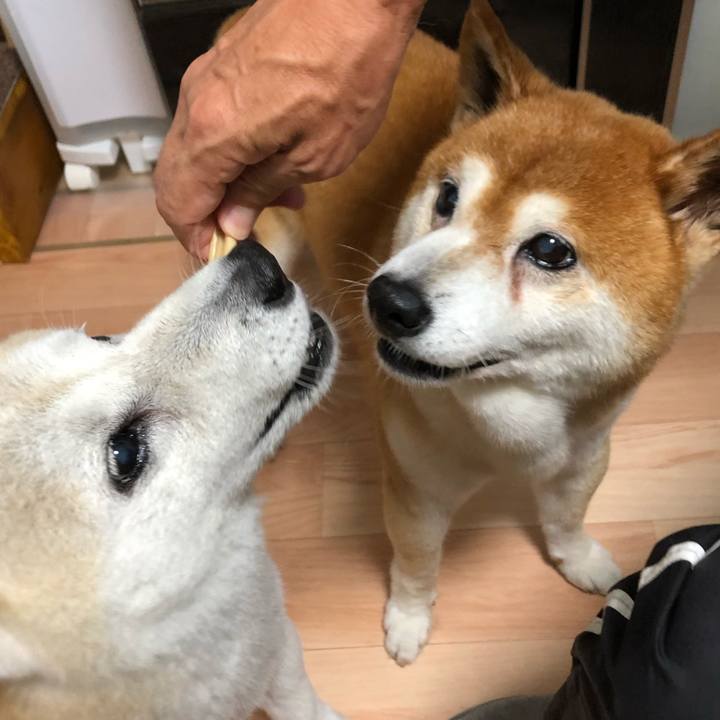 D0af3312 4dc5 40a4 a729 114e113a5352 1564726036543