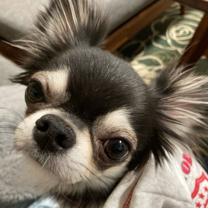 D0af6736 a65e 4474 aaf3 e2739c3fd8d3 1641649256997