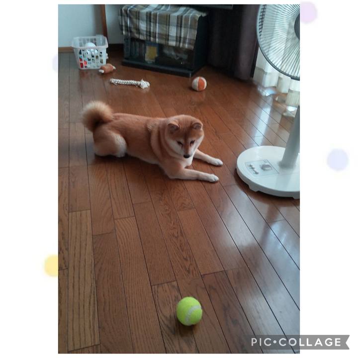 D0af71b0 fb82 4630 9ede a55e3c56850e 1756197217250