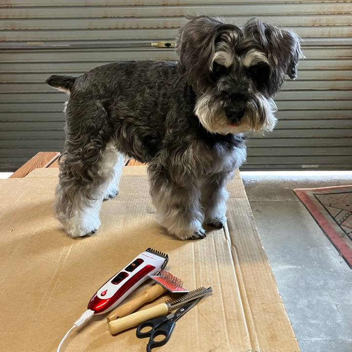 D0af734a df22 47fd a357 f0aedf00a1e3 1717821167911