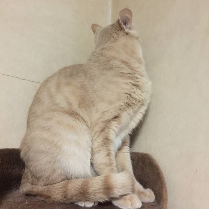 D0af8846 91e2 425c 96b8 5706b5a685a9 1512730114882