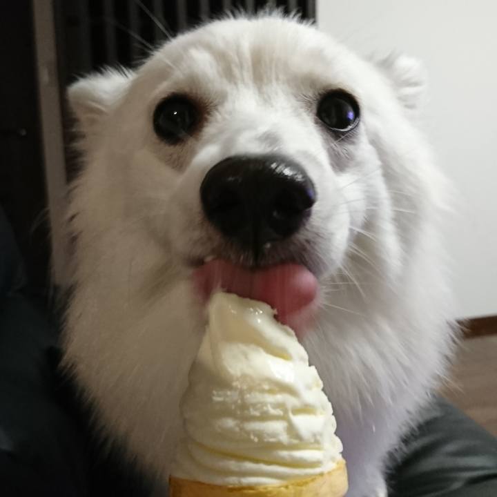 D0afc7a5 0f54 436d 8ea0 8e8081a2c033 1532264631334