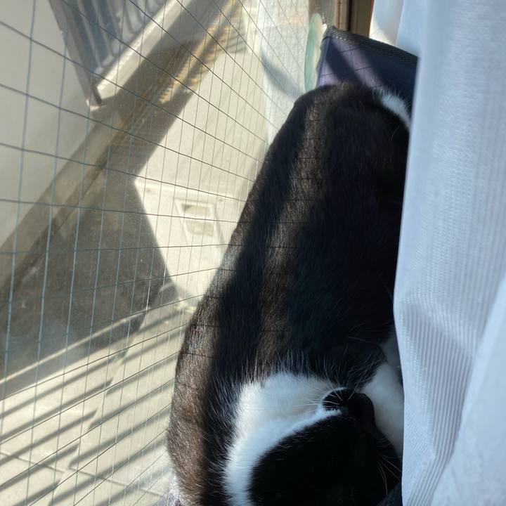 D0afdfa6 ea14 4902 9036 95b65e49d9f3 1641176634173