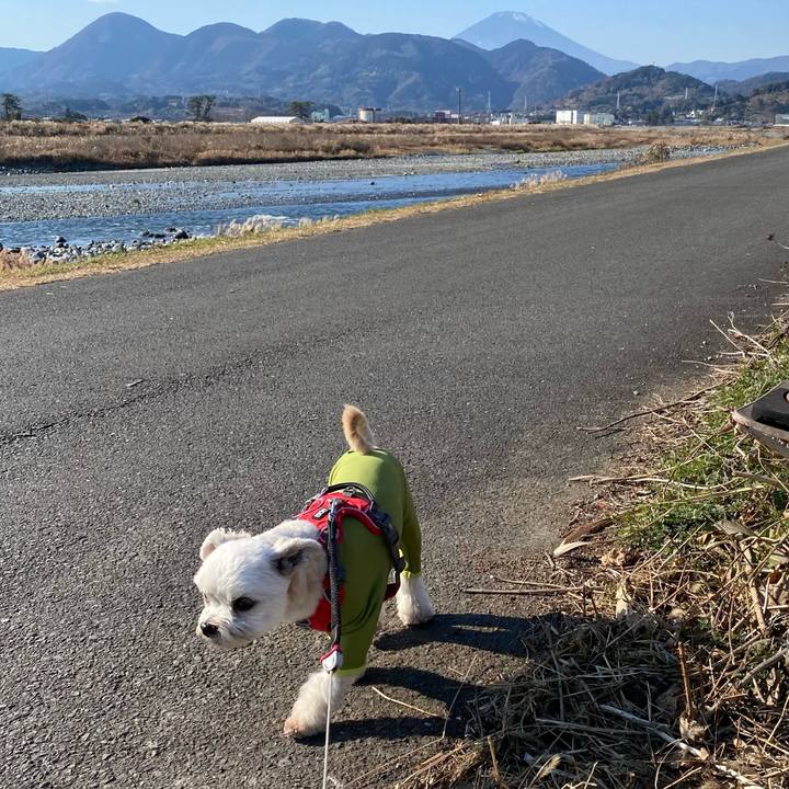 D0afe5ba ad27 40a9 bd96 c6c58e1e2de2 1609046847880