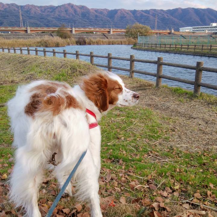 D0b00460 e245 4dd1 b129 6e553ced22b7 1545036535815