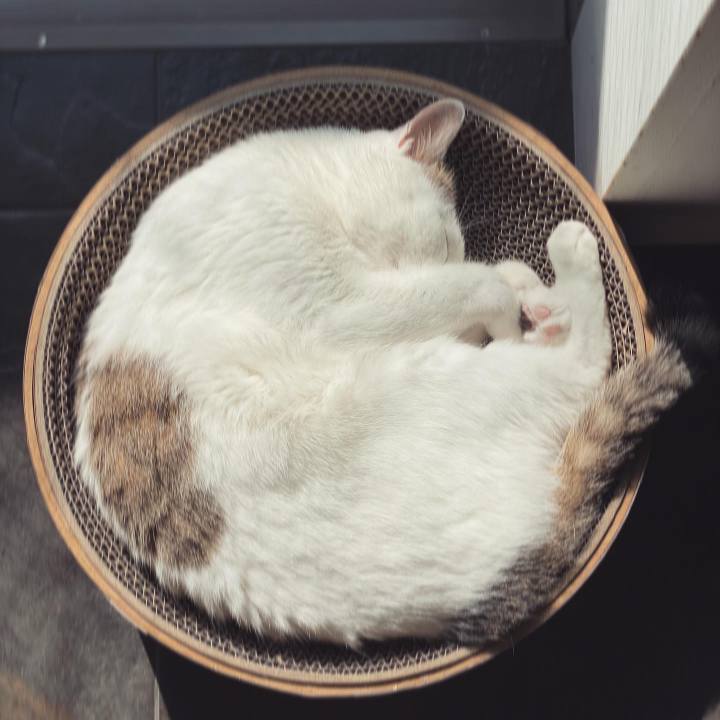 D0b0123a cdbe 4e38 b8d6 2d460591dfd8 1644992265116