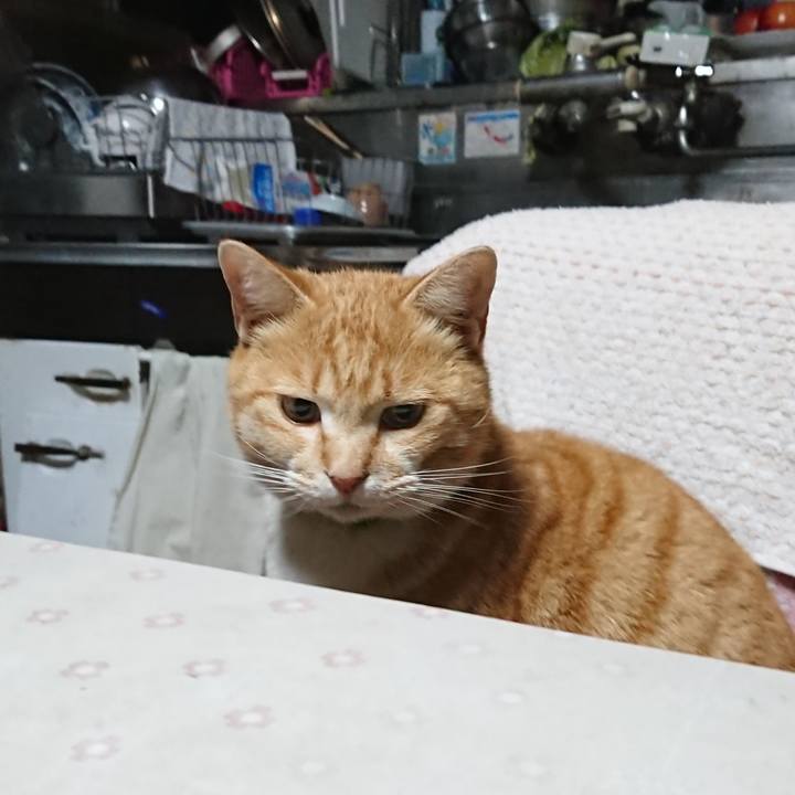 D0b05447 56d4 43f3 a4c3 0d16f3ad5226 1584697592226